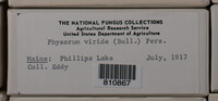 Image Associated With the Occurence